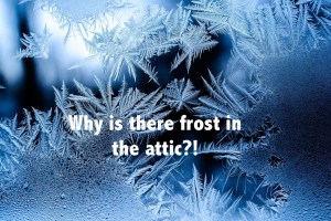 Frost In The Attic